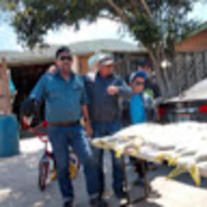 Meet your Posher, Alfredo